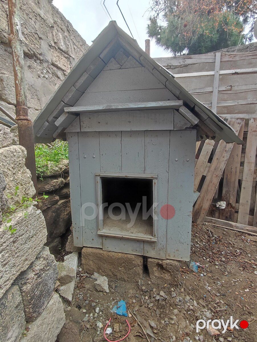 İt yuvası — Heyvan malları, Bakı (2)