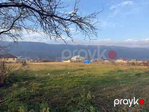 10 sot torpaq sahəsi, Qusar r