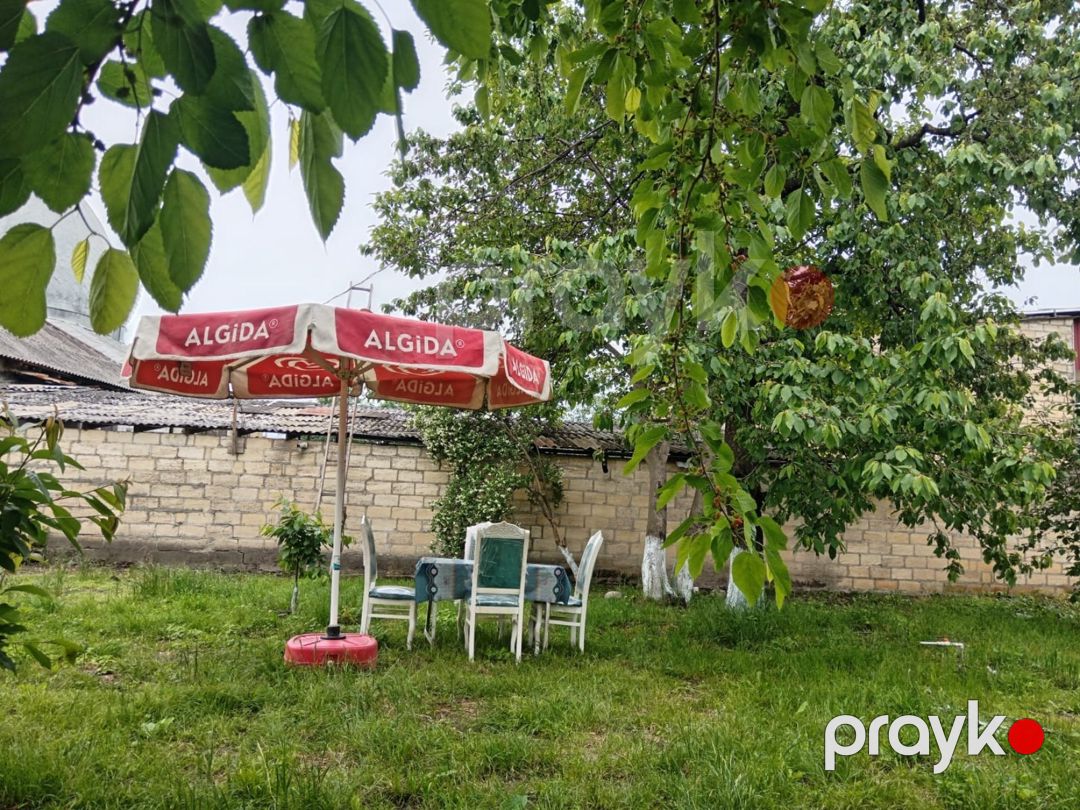 Bağ evi kirayə verilir, Quba r — Ev, villa, Quba (2)