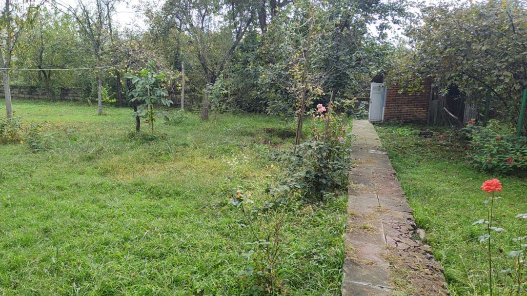 Həyət evi, Zaqatala r — Ev, villa, Zaqatala (8)