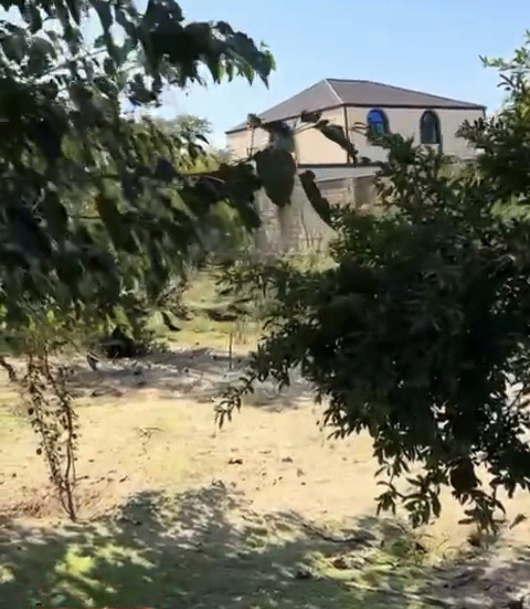 Satılır torpaq 5 sot — Torpaq, Bakı (2)