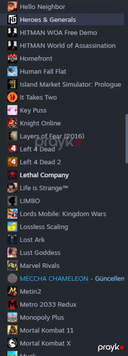 Steam oyunları — Oyunlar, konsollər və proqramlar, Bakı (5)