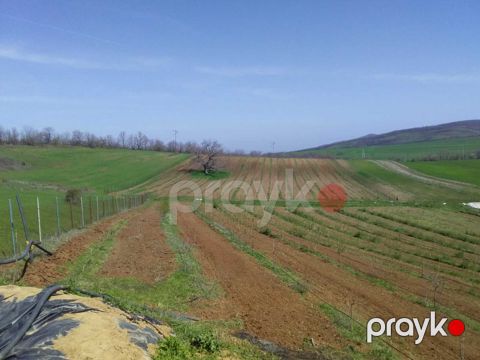 Satılır torpaq 153 sot — Şabran