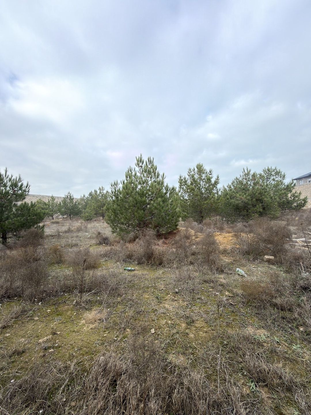 Satılır torpaq 9 sot — Torpaq, Bakı (11)
