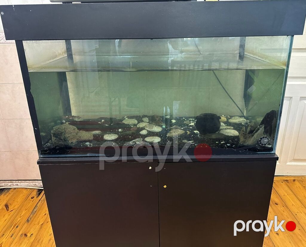 Akvarium-şkaf, Balıqlarla birlikdə, 200 l, Ünvandan götürmə — Akvariumlar və balıqlar, Bakı (3)