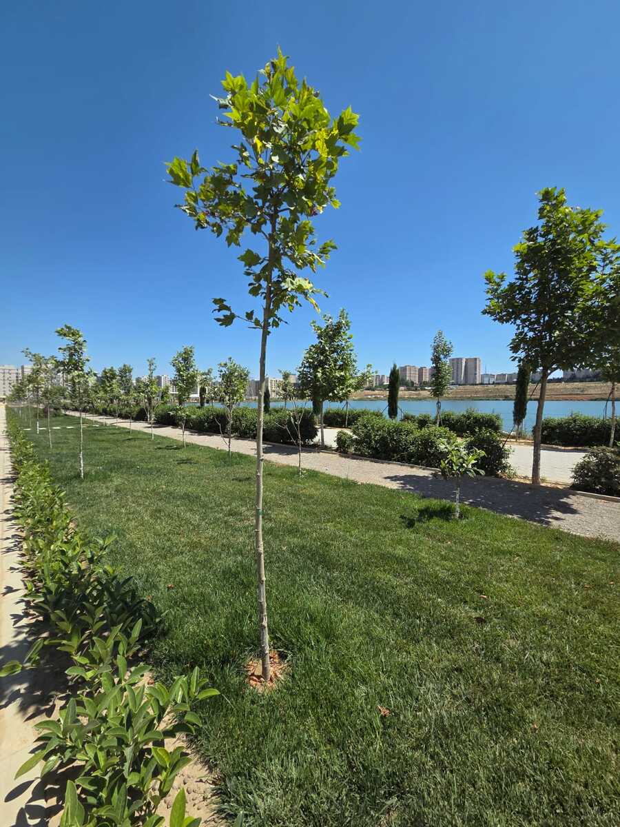 Satılır 2 otaqlı yeni tikili 58 m² — Mənzil, Bakı (12)