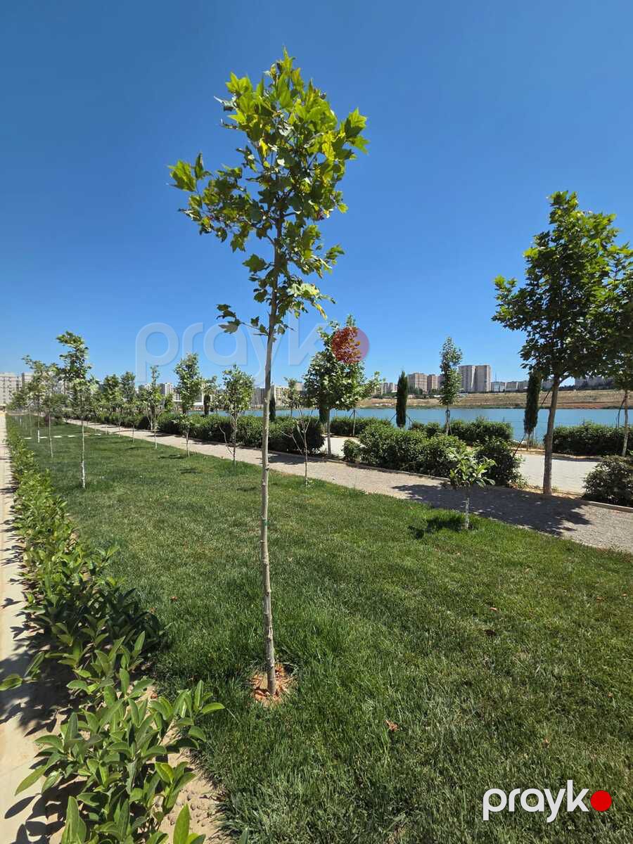Satılır 2 otaqlı yeni tikili 58 m² — Mənzil, Bakı (12)