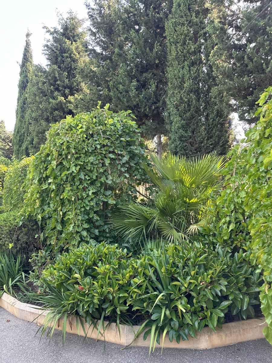 Bağban tələb olunur — Vakansiyalar, Bakı (2)