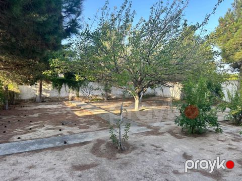 3 sot torpaq sahəsi, Novxanı qəs — Bakı