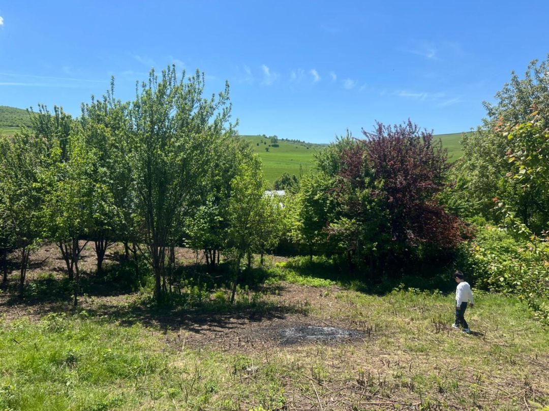6 sot torpaq sahəsi, İsmayıllı ş — Torpaq, Bakı (5)
