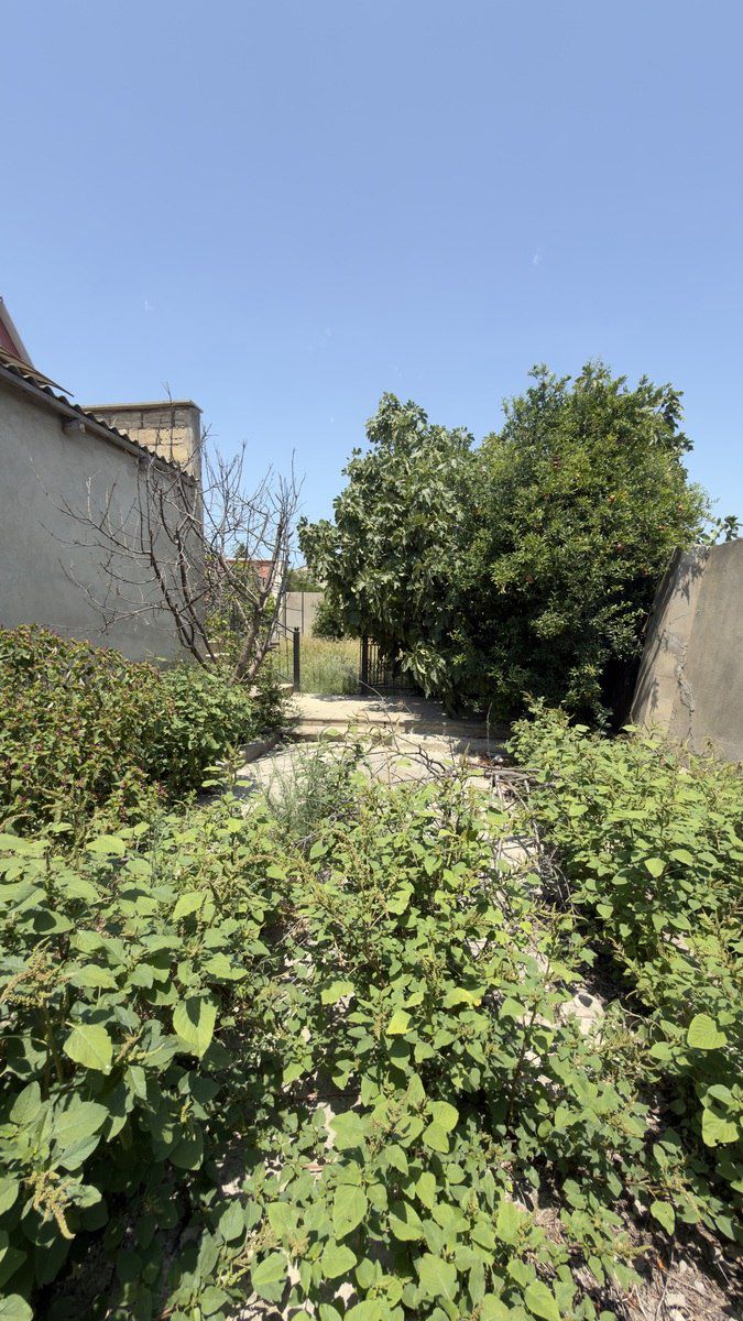 Satılır 5 otaqlı həyət evi/bağ evi 200 m² — Ev, villa, Bakı (7)