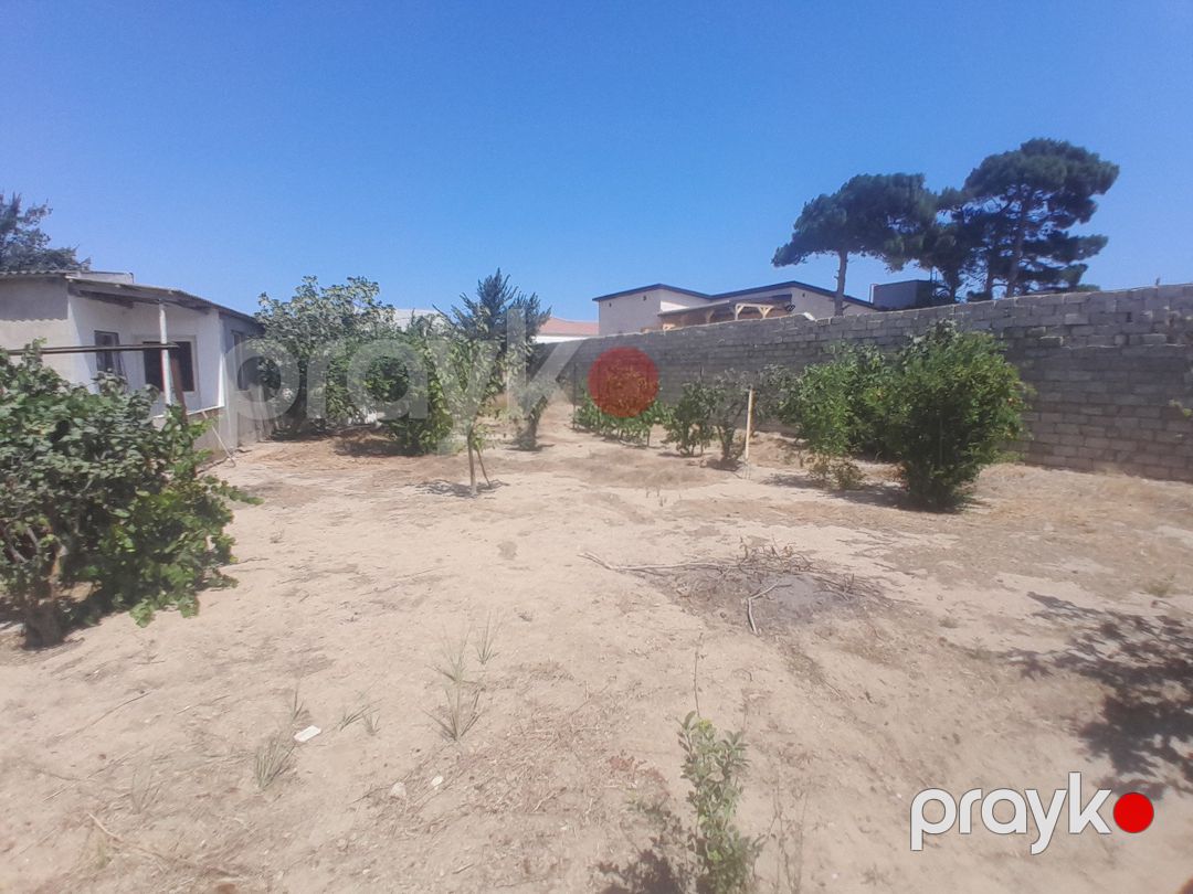 Satılır torpaq 12 sot — Torpaq, Bakı (7)