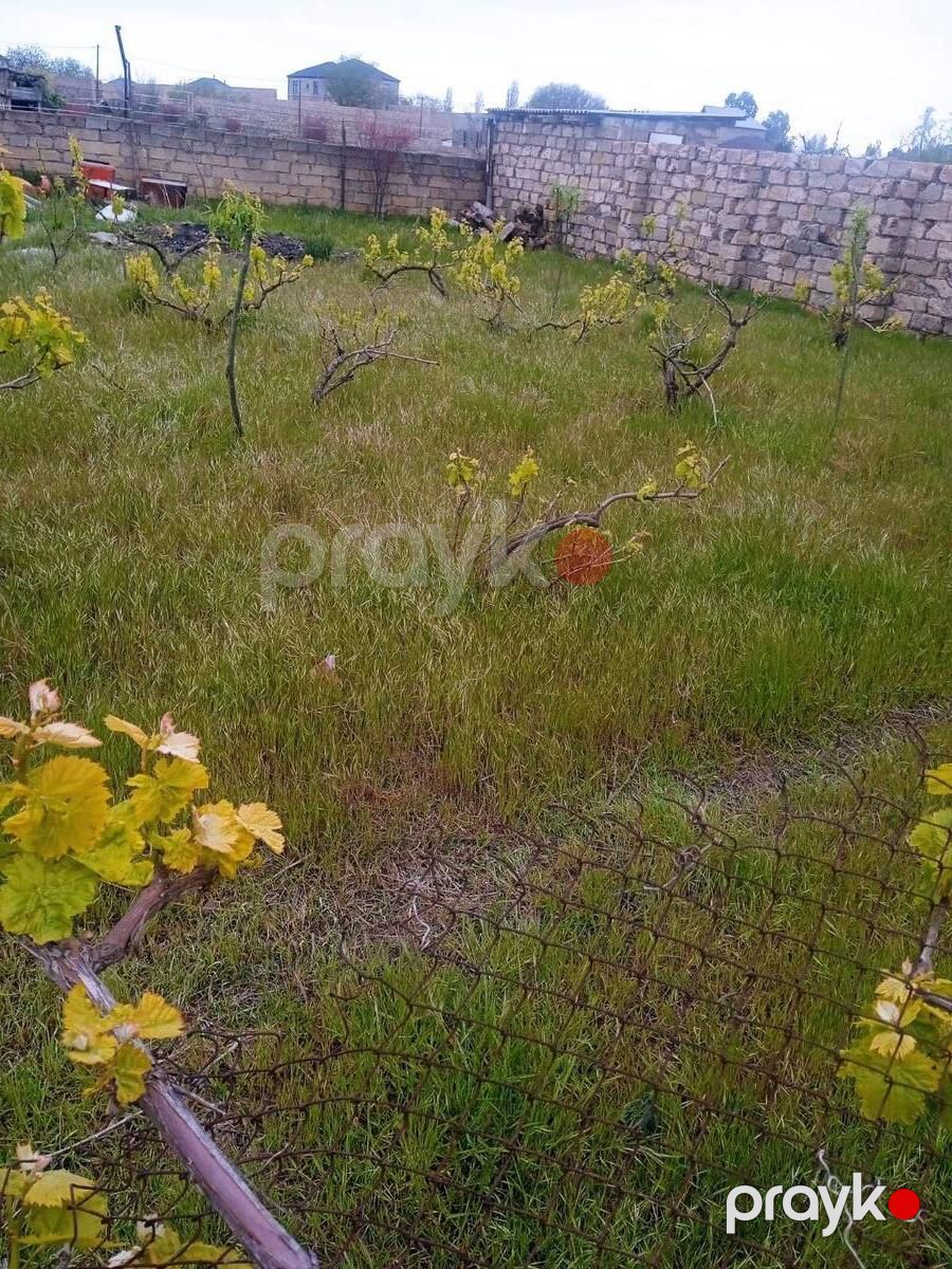 10 sot torpaq sahəsi, Maştağa qəs — Torpaq, Bakı (4)