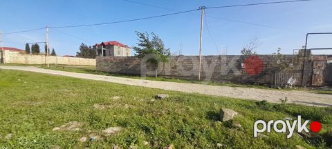 2 sot, Tikinti, Mülkiyyətçi, Kupça (Çıxarış) — Novxanı