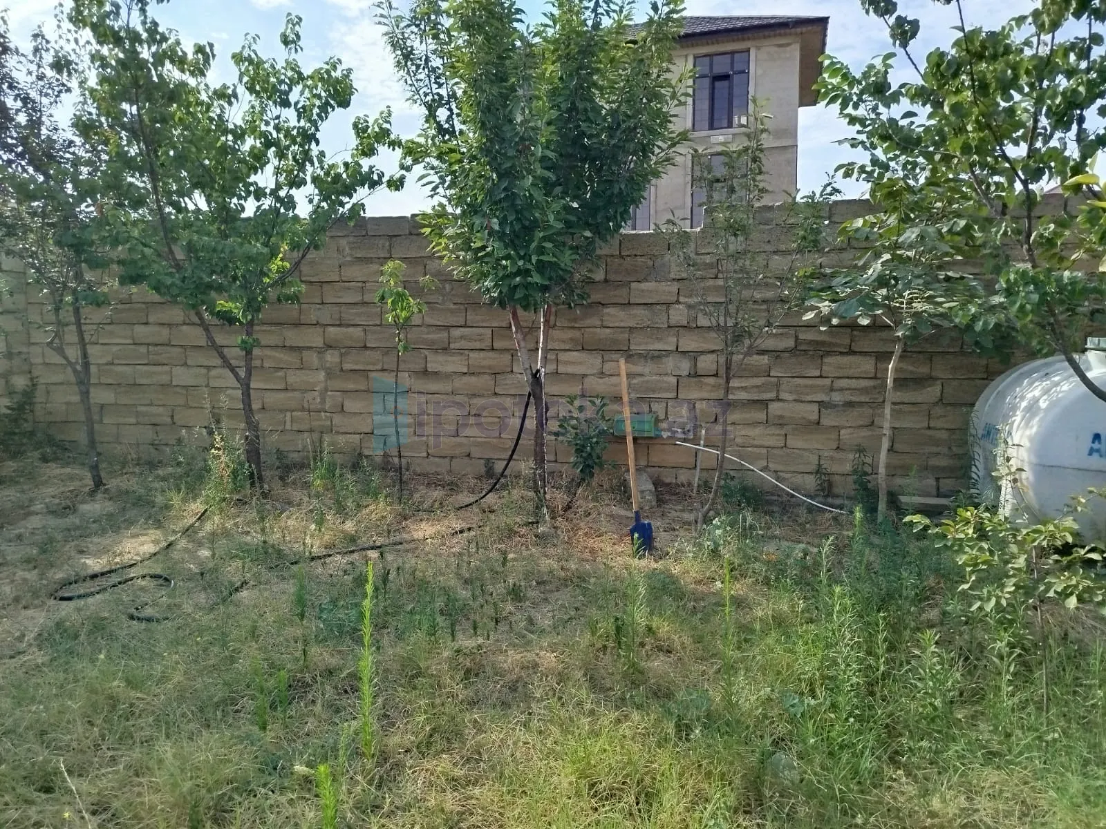 Satılır: Torpaq, Abşeron r., Saray q., 2.50 sot — Torpaq, Saray (3)