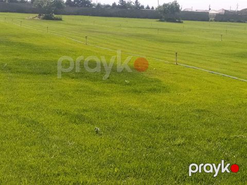 400 sot torpaq sahəsi, Binə qəs