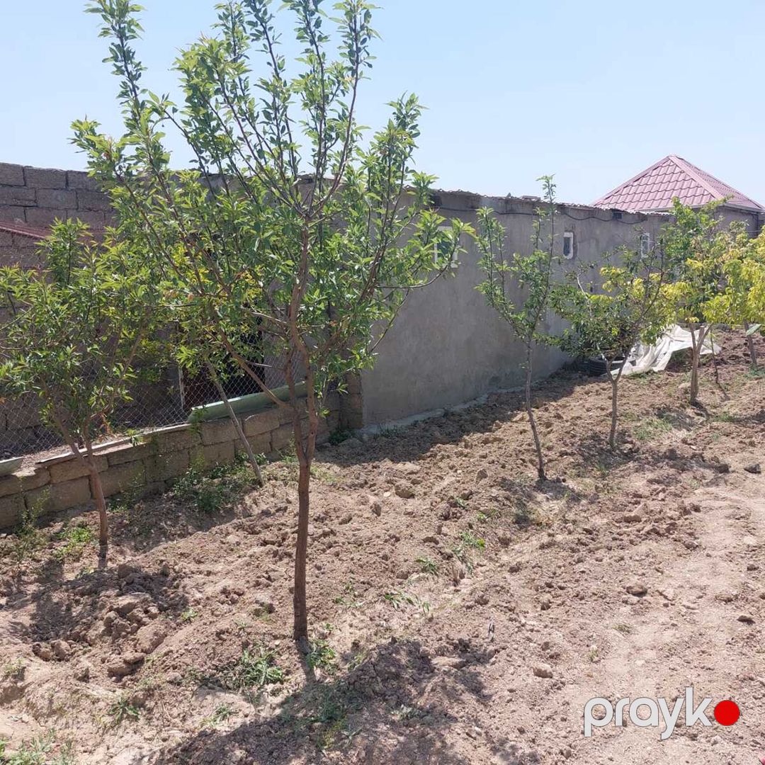 Satılır 4 otaqlı həyət evi/bağ evi 130 m² — Ev, villa, Bakı (6)