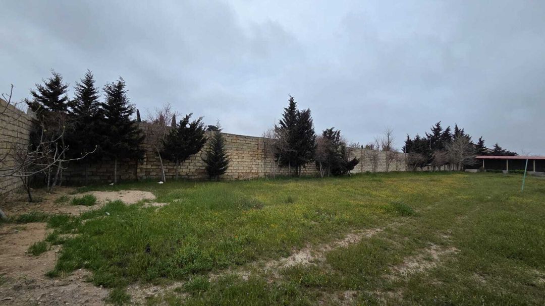 Satılır torpaq 24 sot — Torpaq, Bakı (11)