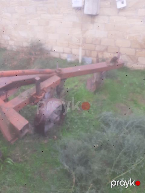 Kotan, 1987 il — Xaçmaz