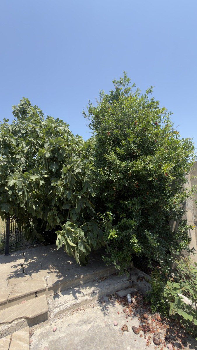 Satılır 5 otaqlı həyət evi/bağ evi 200 m² — Ev, villa, Bakı (6)