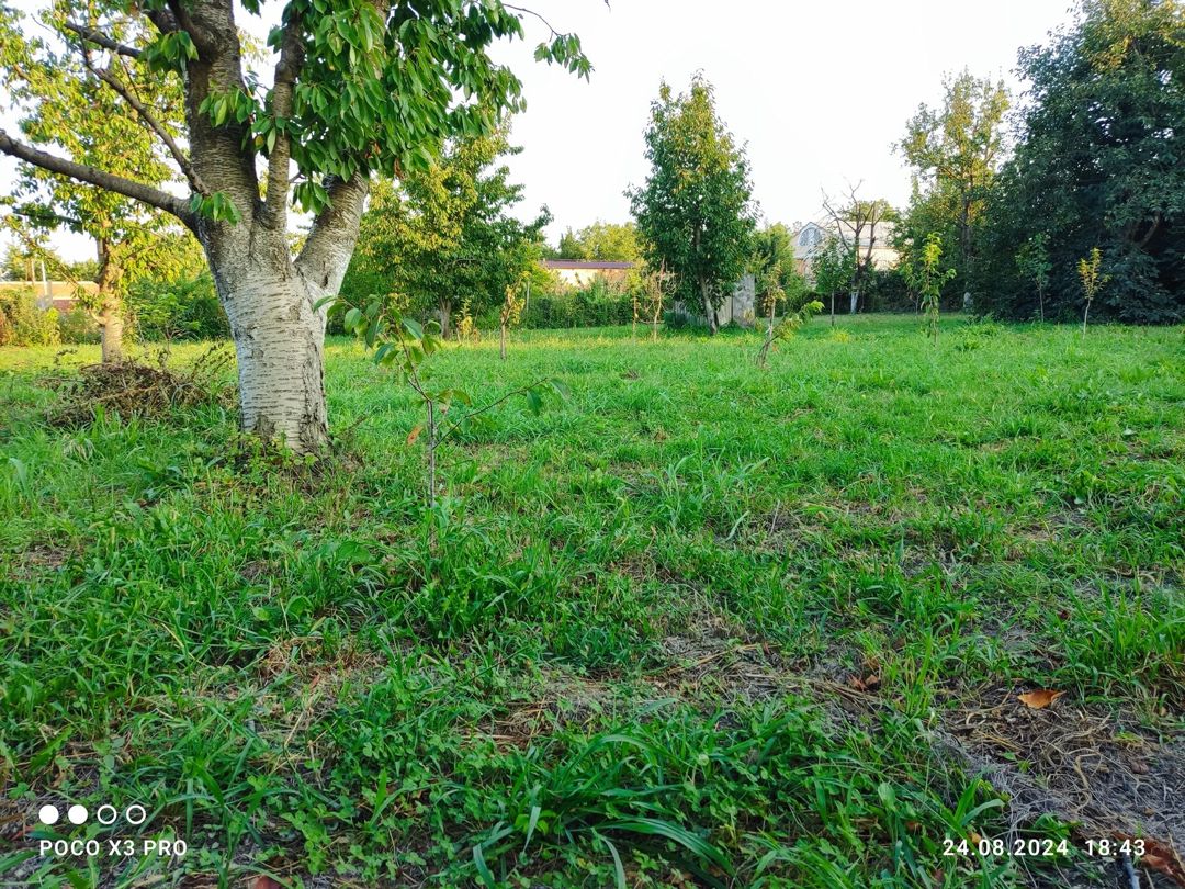 Satılır 4 otaqlı həyət evi/bağ evi 120 m² — Ev, villa, Xaçmaz (10)