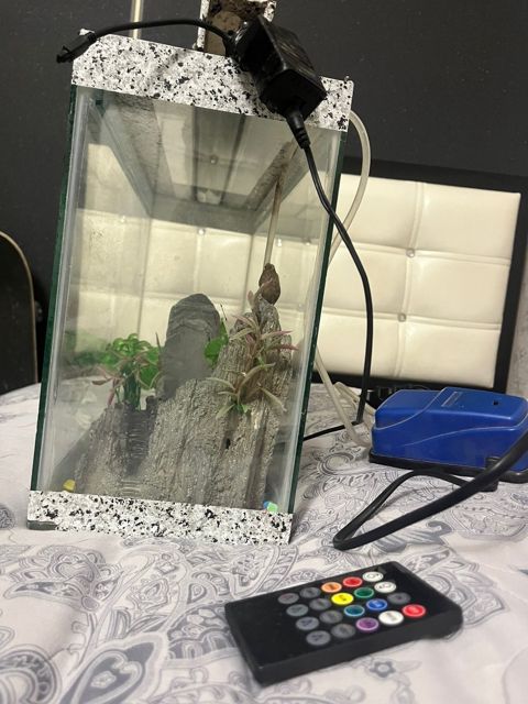 Akvarium — Bakı