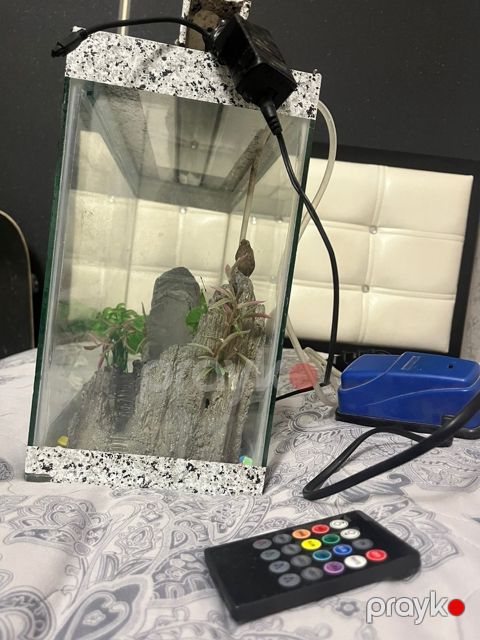 Akvarium — Bakı