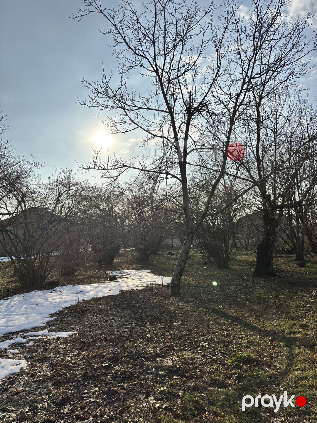 Satılır torpaq 30 sot — Torpaq, Qəbələ (3)