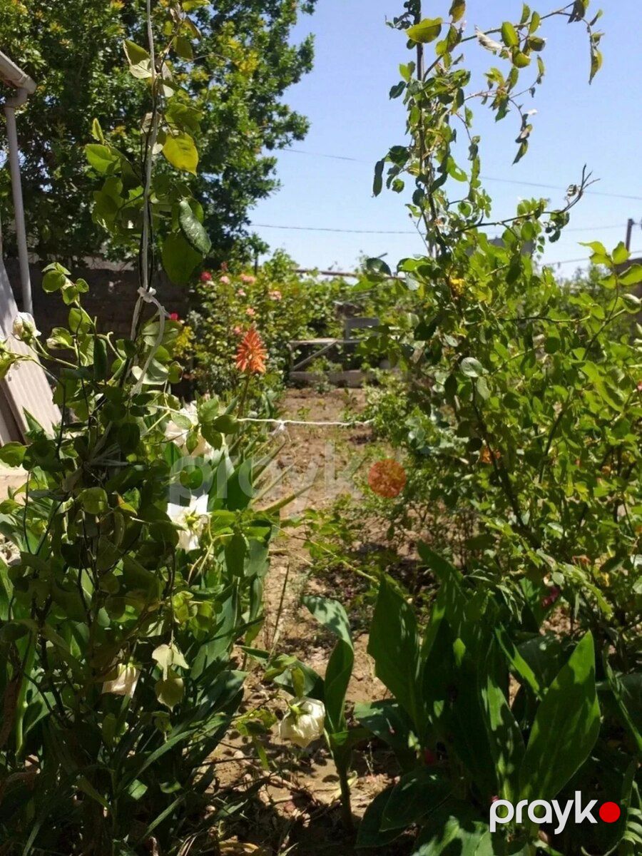 Həyət evi, Qaraçuxur qəs — Ev, villa, Bakı (5)