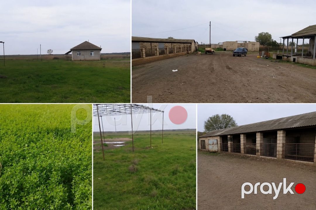Həyət evi, Salyan r — Ev, villa, Salyan (3)