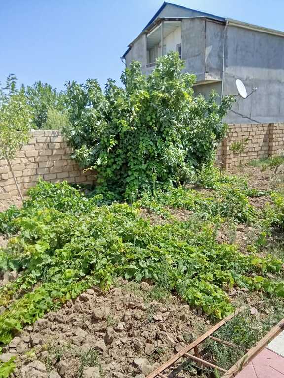 Satılır 3 otaqlı həyət evi/bağ evi 100 m² — Ev, villa, Bakı (4)