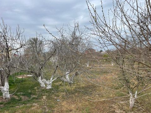 Satılır torpaq 10000 sot — Siyəzən