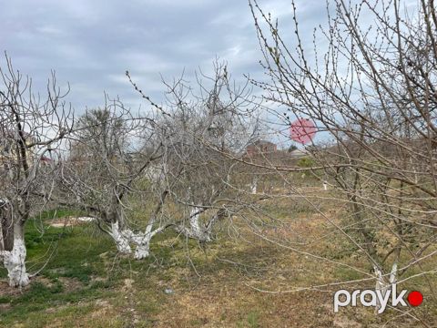 Satılır torpaq 10000 sot — Siyəzən