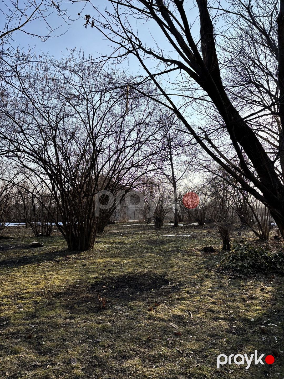 Satılır torpaq 30 sot — Torpaq, Qəbələ (2)