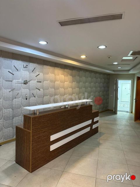Ofis icarəyə verilir, Şah İsmayıl Xətai pr