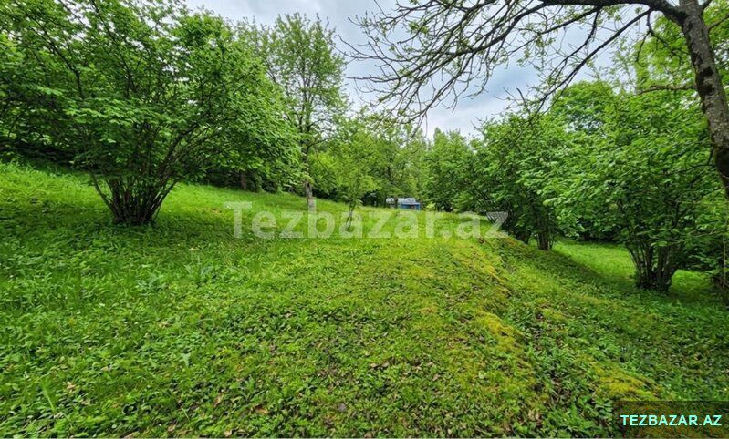 Istisu qalaciq ismayilli — Torpaq, İsmayıllı (2)