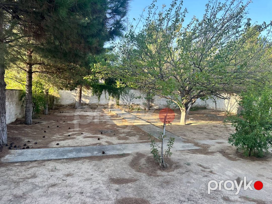 3 sot torpaq sahəsi, Novxanı qəs — Torpaq, Bakı (5)
