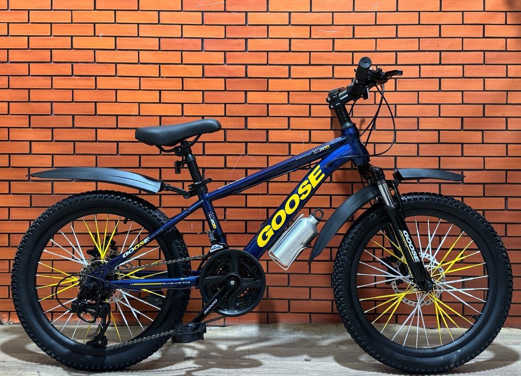 Velosiped “Goose 20” — Velosipedlər, Bakı (2)