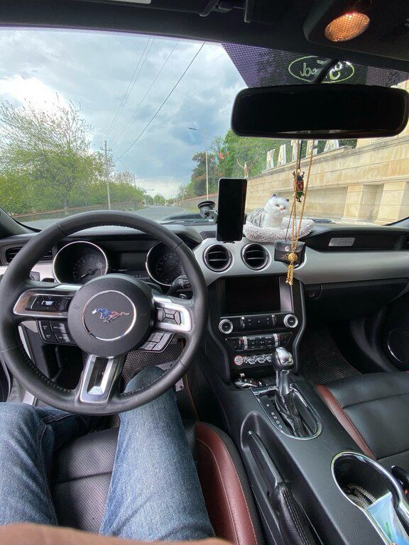 Ford Mustang, 2.3 L, 2015 il, 150 000 km — Avtomobillər, Balakən (7)