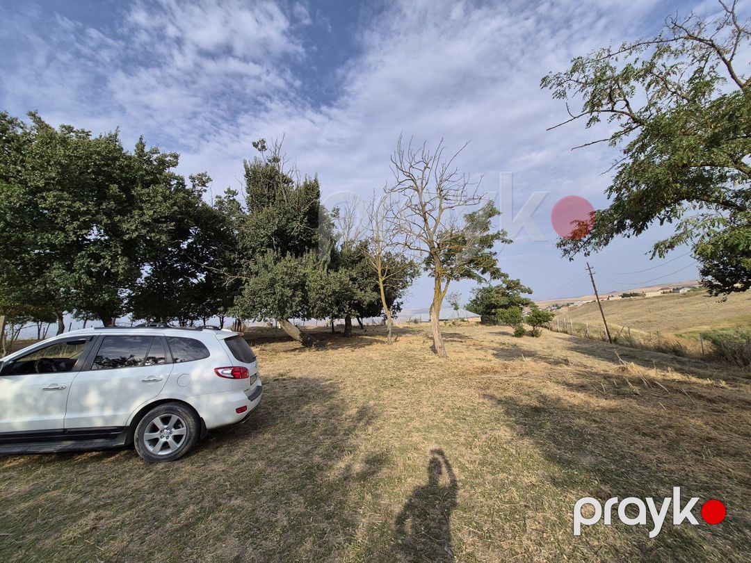 Satılır 6 otaqlı həyət evi/bağ evi 120 m² — Ev, villa, Şamaxı (5)