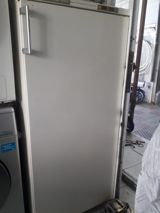 Təkqapılı dik dondurucu kamera. Ağ rəngli korpusda təqdim olunub. Ön — Aylin — Refrigerators