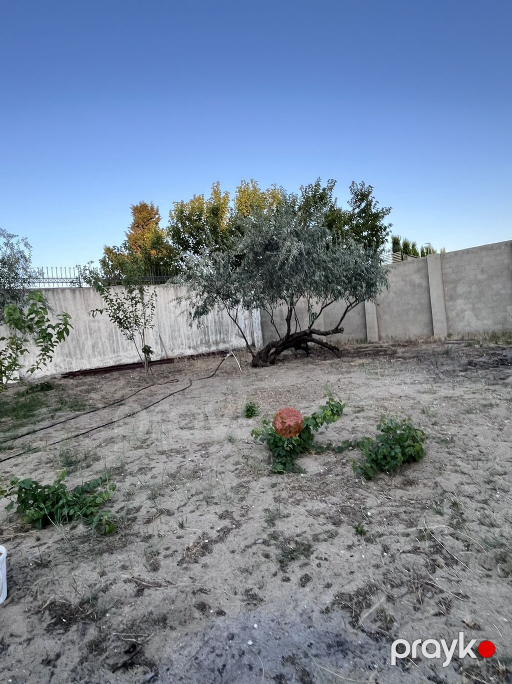 Bağ -11,3 sot sərin tərəf dəniz yaninda 5 dəq maşinan ev əla — Ev, villa, Digah (8)