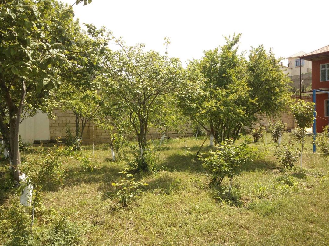 Satılır torpaq 18 sot — Torpaq, Bakı (5)