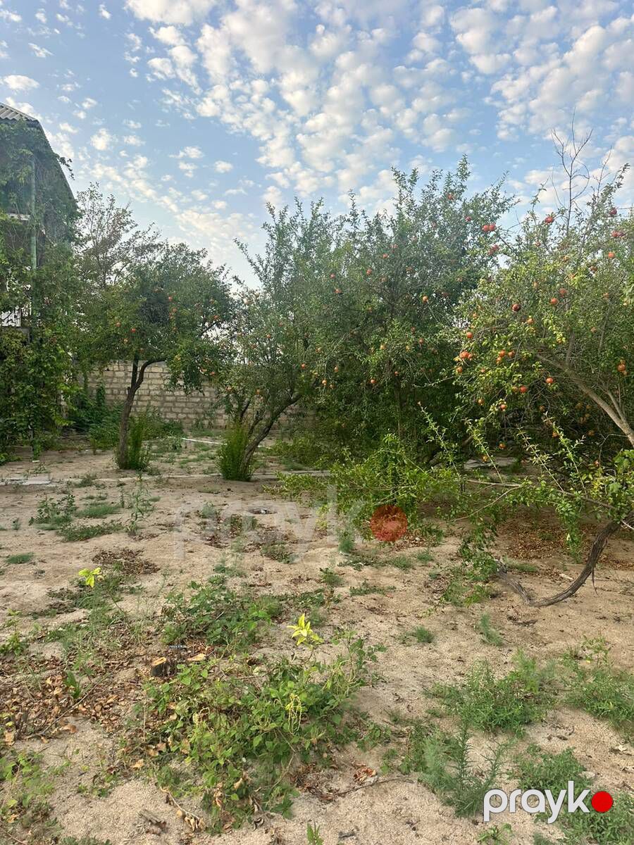 2 sot torpaq sahəsi, Novxanı qəs — Torpaq, Bakı (2)