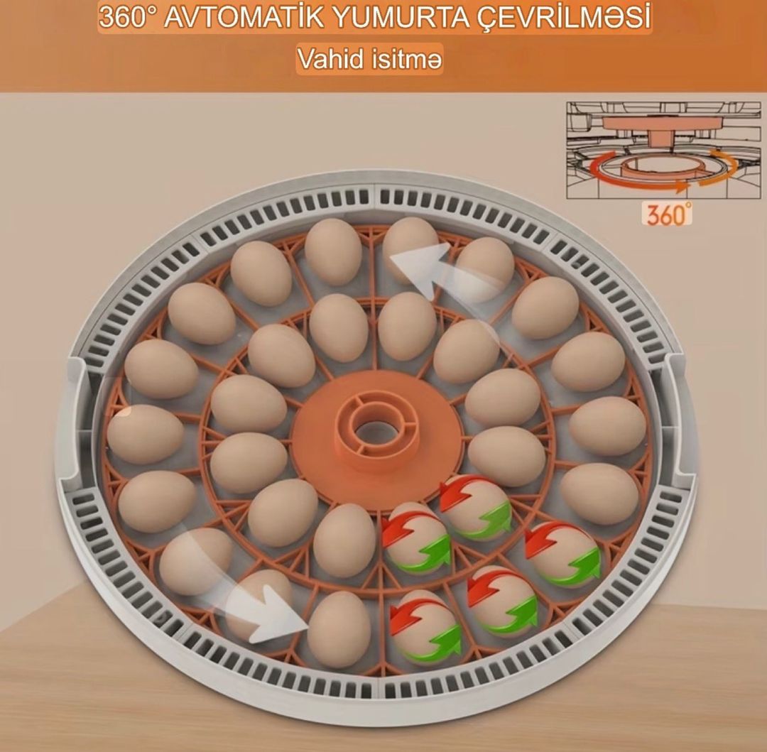 İnkubator 30 yumurta — Biznes və avadanlıq, Bakı (5)