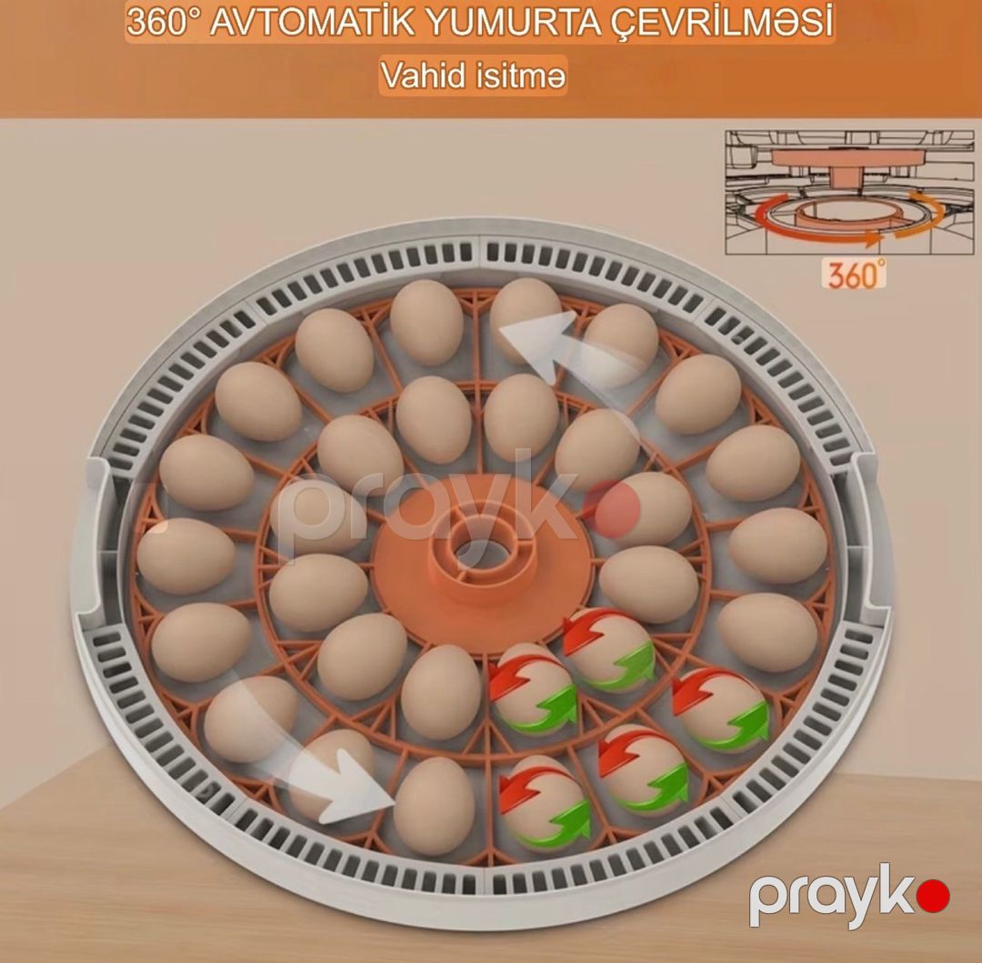 İnkubator 30 yumurta — Biznes və avadanlıq, Bakı (5)