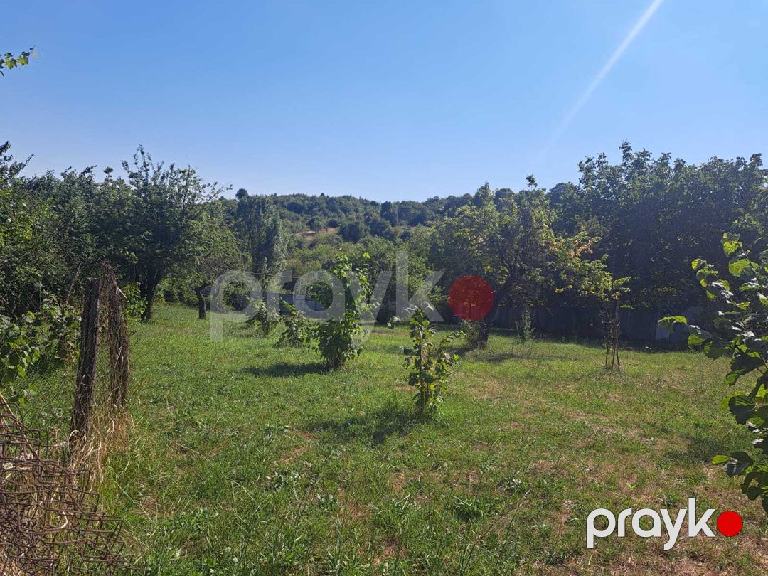 Satılır torpaq 19 sot — Torpaq, İsmayıllı (5)