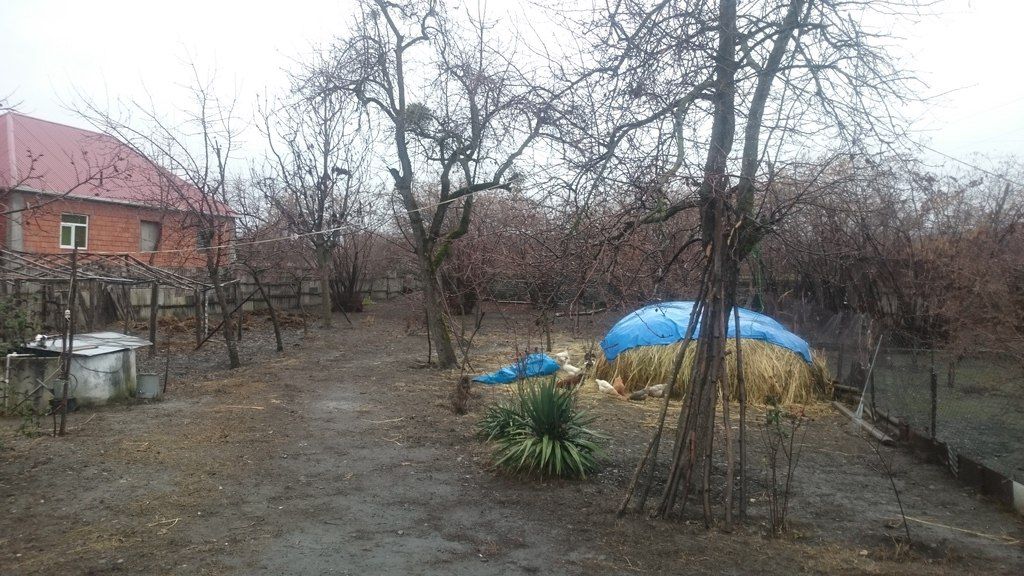 47.7 sot torpaq sahəsi, Aşağı Tala k — Torpaq, Zaqatala (2)