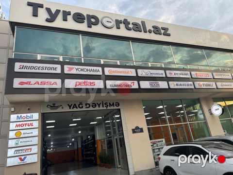 Şinlər