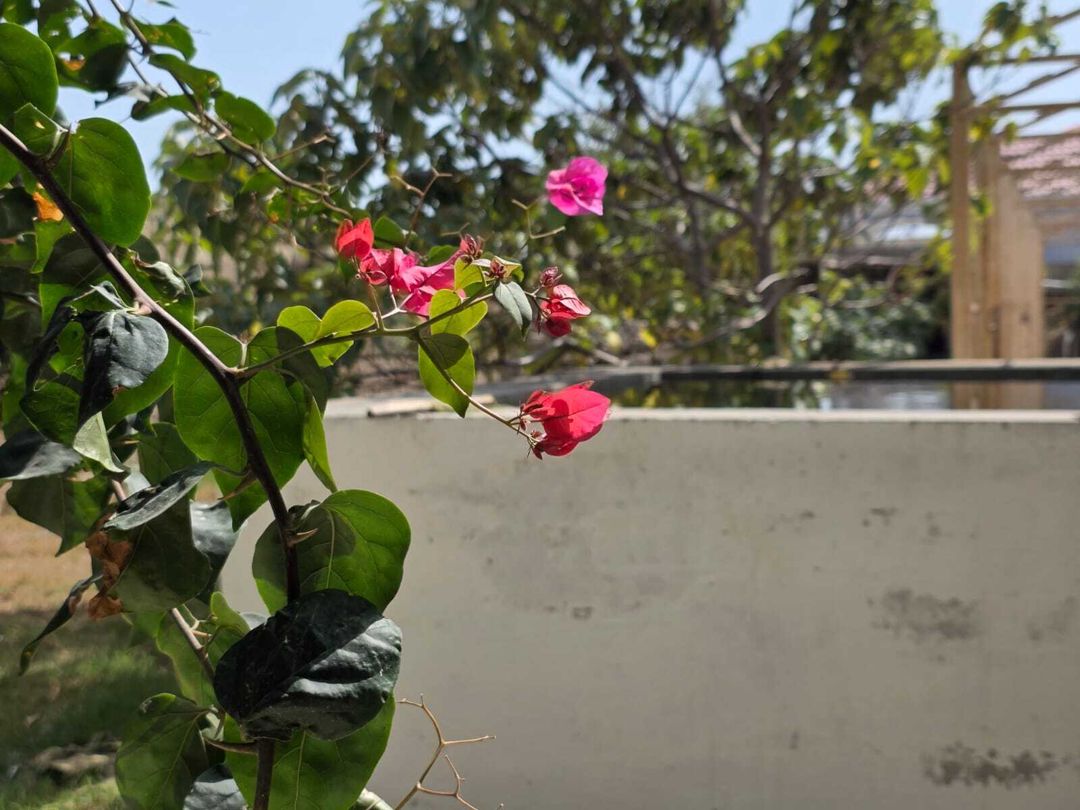 Satılır 6 otaqlı həyət evi/bağ evi 360 m² — Ev, villa, Bakı (5)